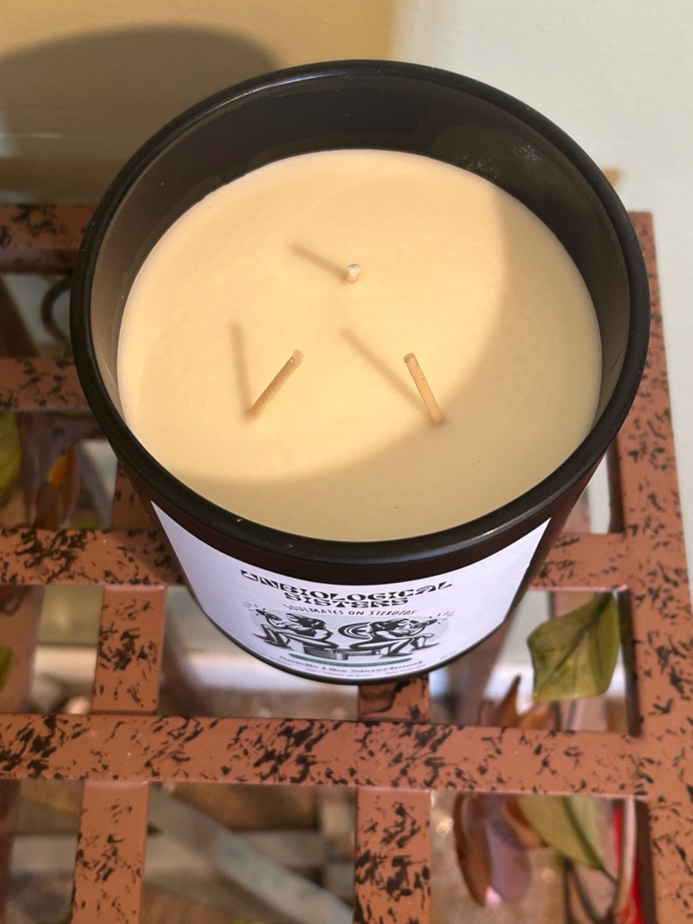 Unbiological Sisters Soy Candle 20 Oz. Ocean Breeze Scent Smells Like Sisterhood - Picture 3 of 4